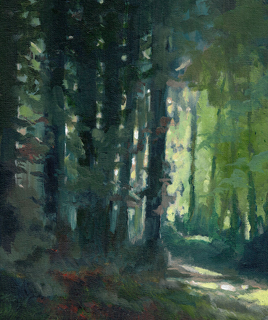Irish art for sale | Polly Gribben | Koromebi | filtered light between trees painting